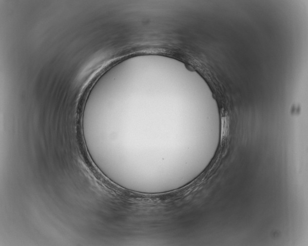 X0000113110243200908281024