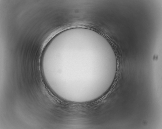 X0000113110244200908281024