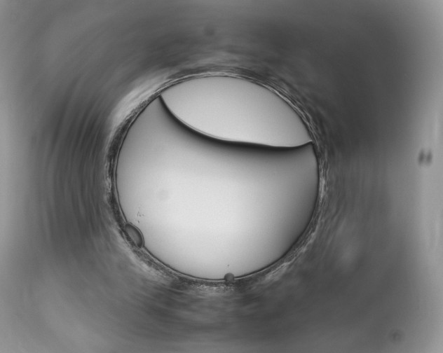 X0000113110245200908281024