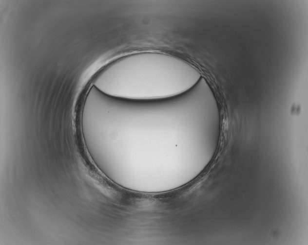 X0000113110246200908281024