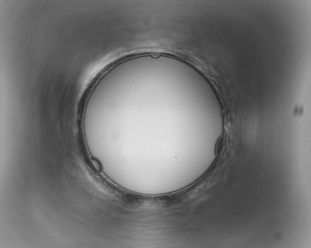 X0000113110248200908281024