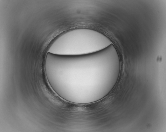 X0000113110250200908281024