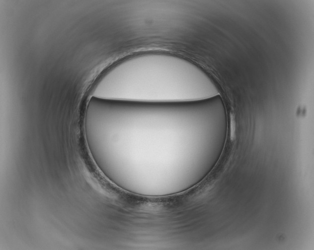 X0000113110252200908281024