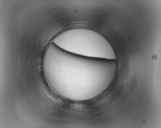 X0000113110255200908281024