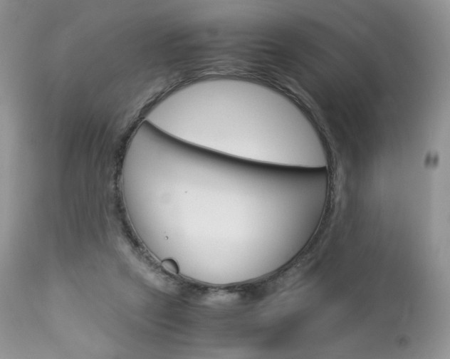 X0000113110257200908281024