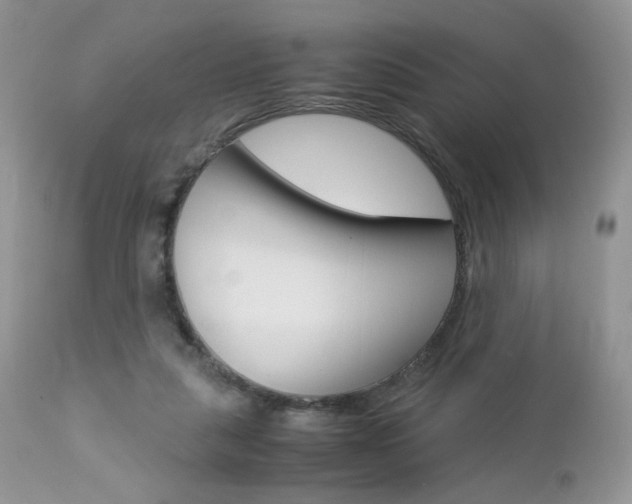 X0000113110259200908281024