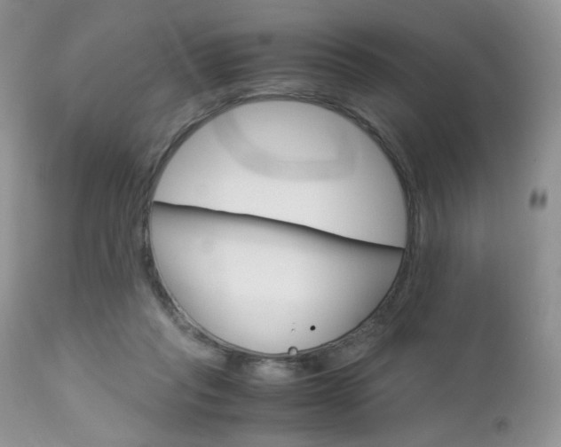X0000113110261200908281025