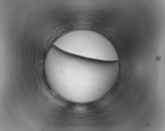 X0000113110263200908281025