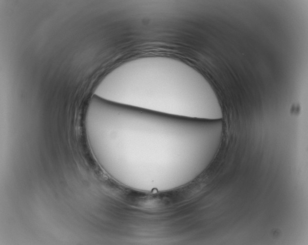 X0000113110267200908281025