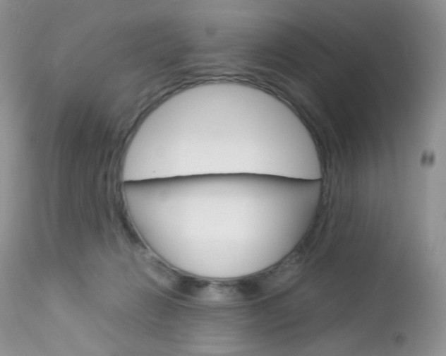 X0000113110270200908281025