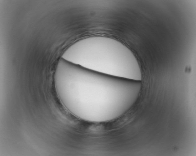 X0000113110271200908281025