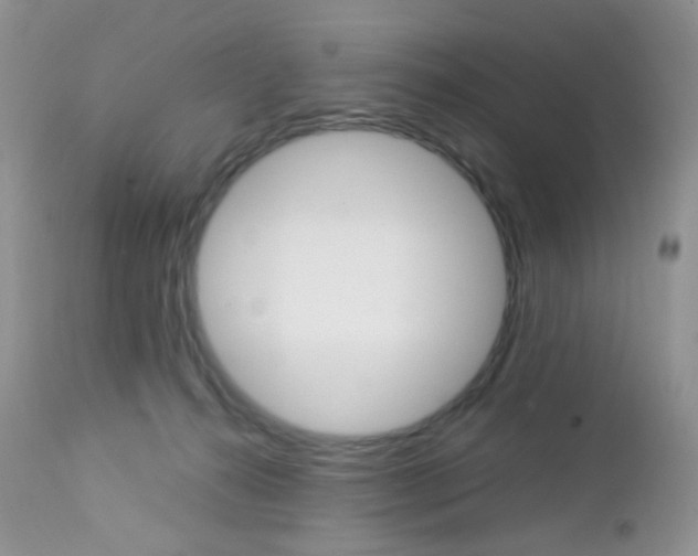 X0000113110272200908281025