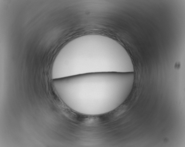 X0000113110274200908281025