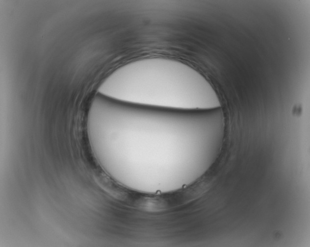 X0000113110275200908281025