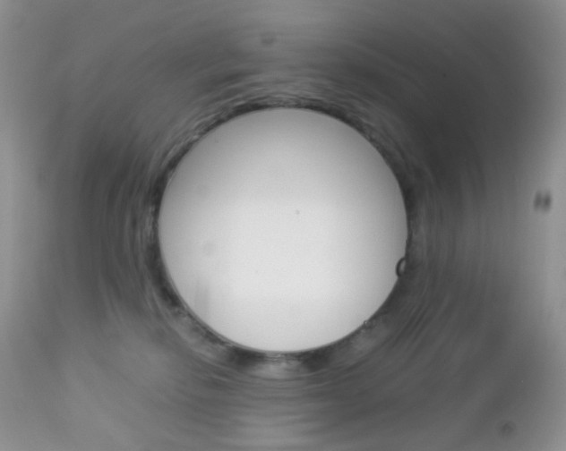 X0000113110278200908281025