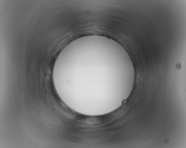 X0000113110279200908281025