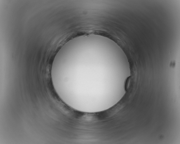 X0000113110280200908281025
