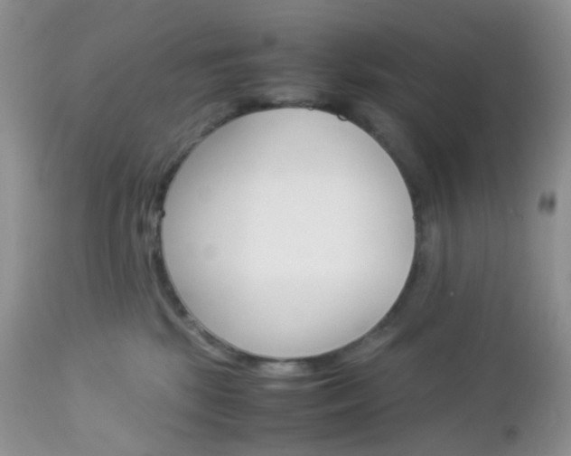 X0000113110281200908281025