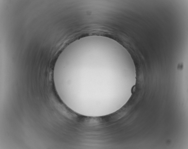 X0000113110282200908281025