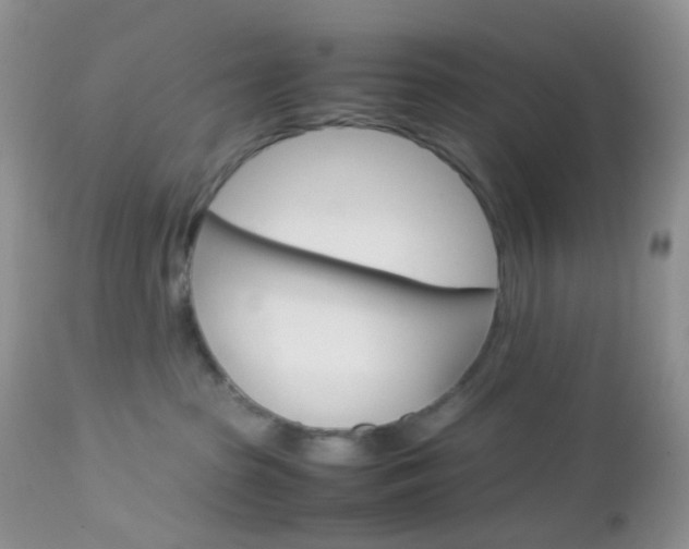 X0000113110285200908281025