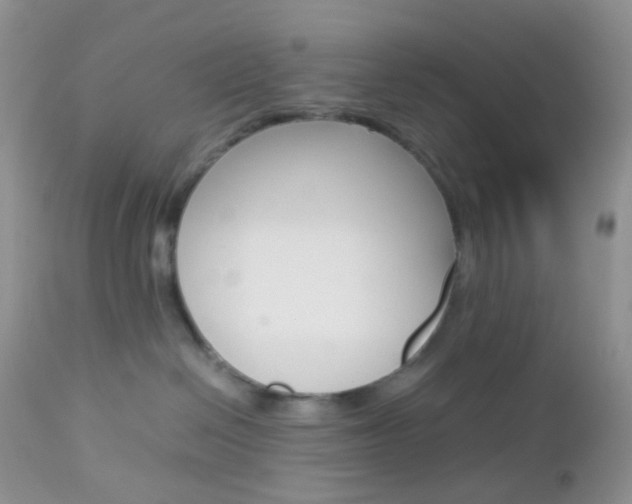 X0000113110286200908281025