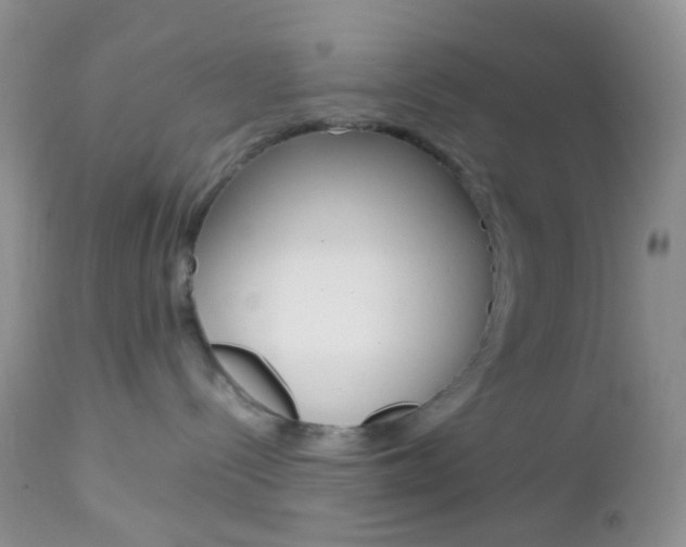 X0000113110288200908281025