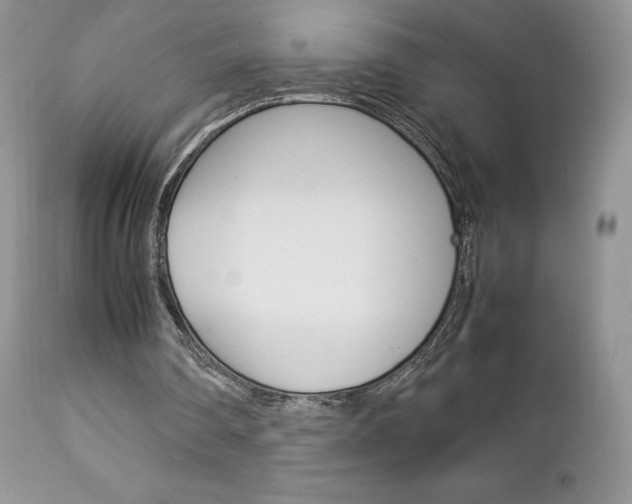 X0000113110290200908281024