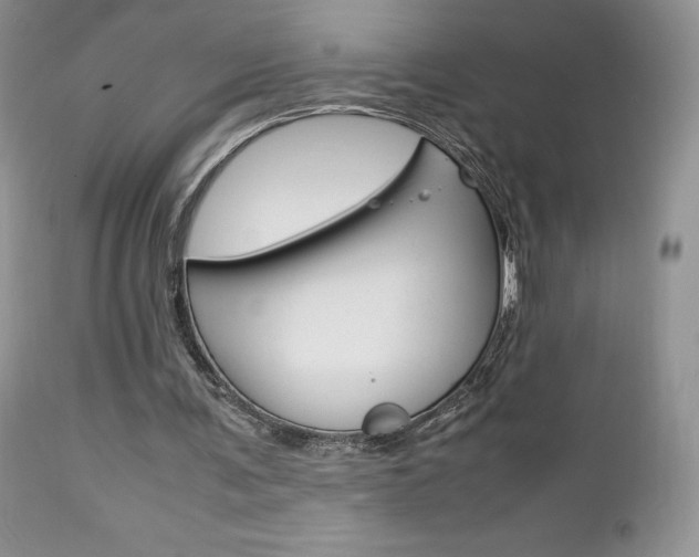 X0000113110291200908281024