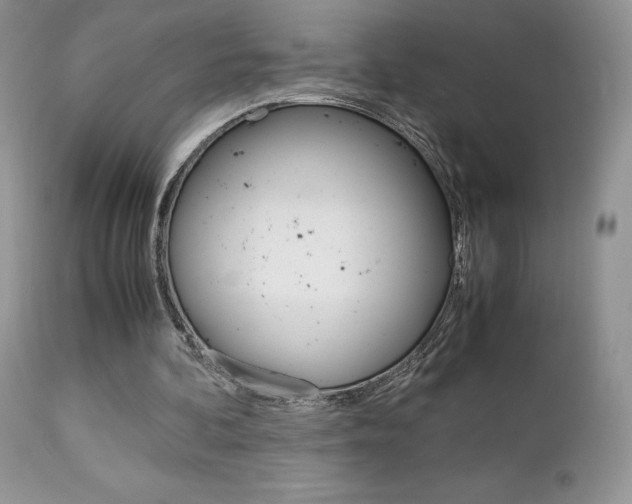 X0000113110292200908281024