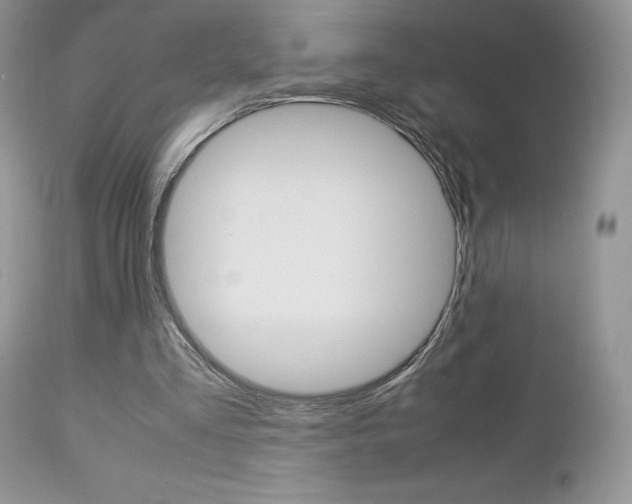X0000113110293200908281024