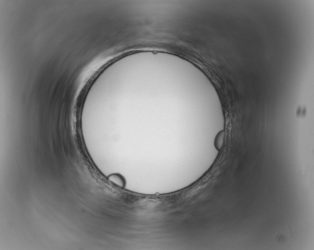 X0000113110294200908281024
