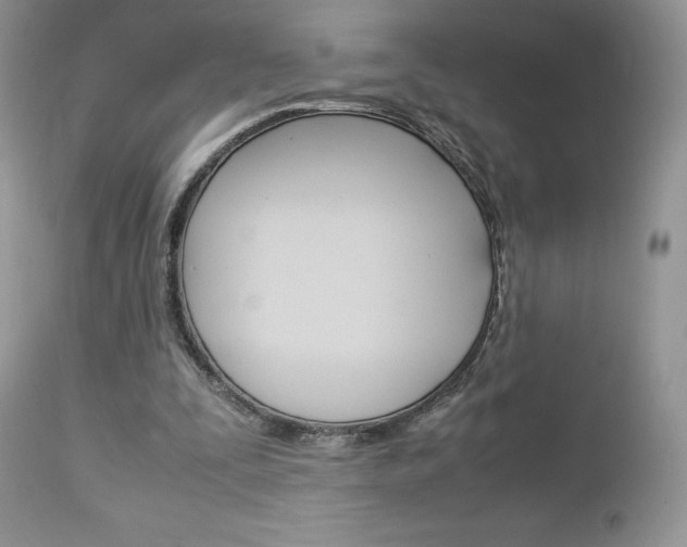 X0000113110295200908281024
