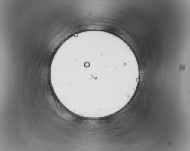 X0000113110297200908281024