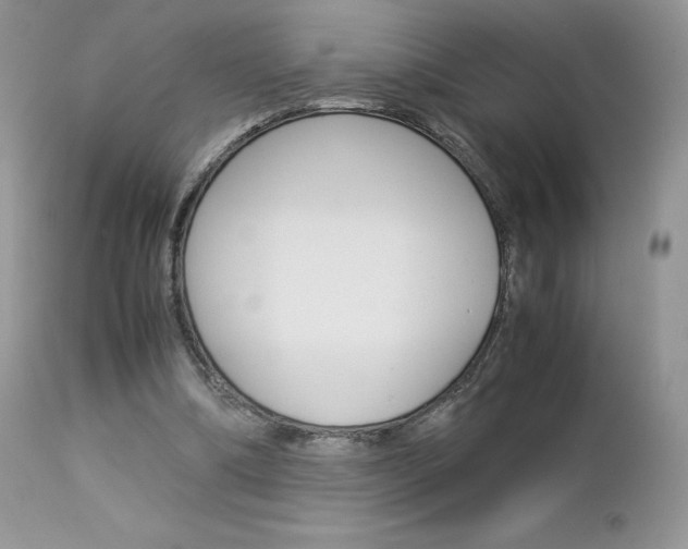 X0000113110298200908281024
