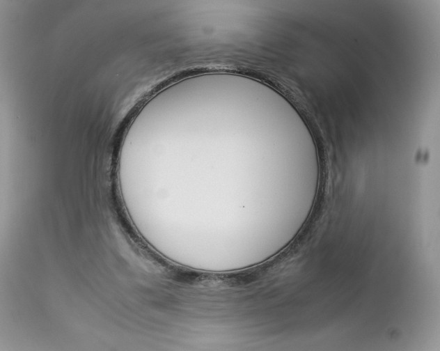 X0000113110299200908281024