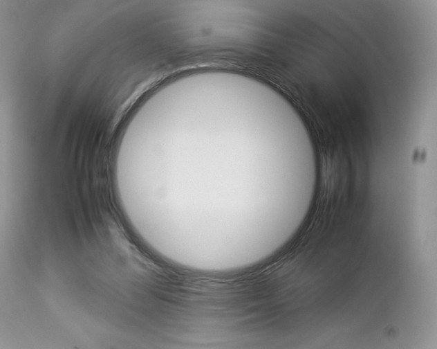 X0000113110300200908281024