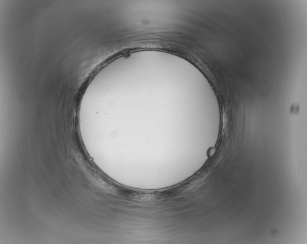 X0000113110301200908281024