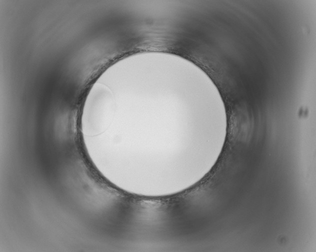 X0000113110302200908281024