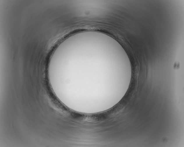 X0000113110303200908281024