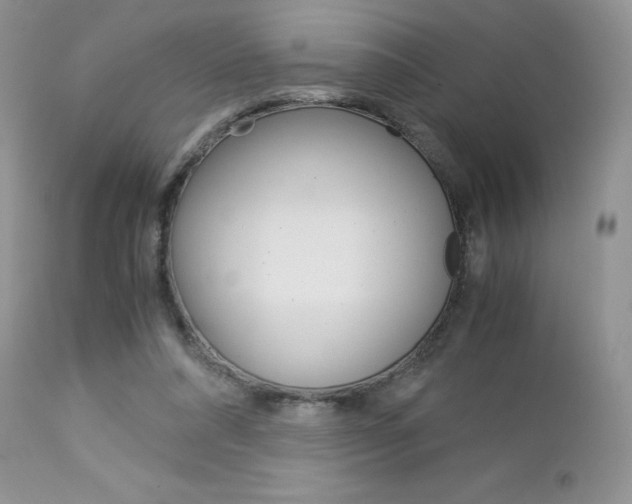 X0000113110304200908281024