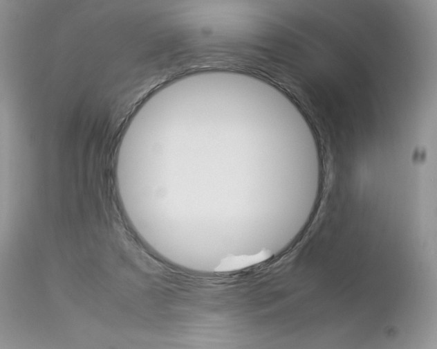 X0000113110305200908281024