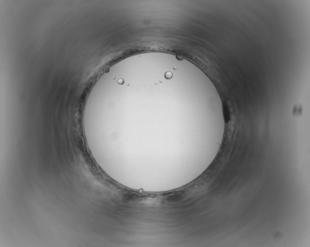 X0000113110306200908281024