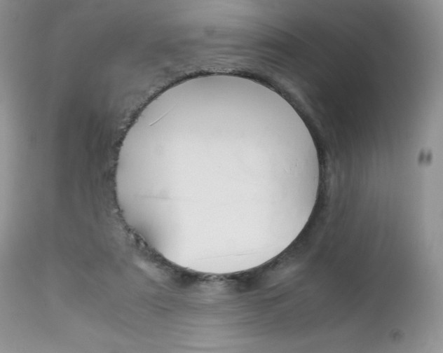 X0000113110307200908281024