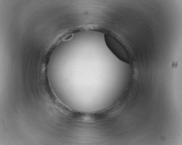 X0000113110308200908281024