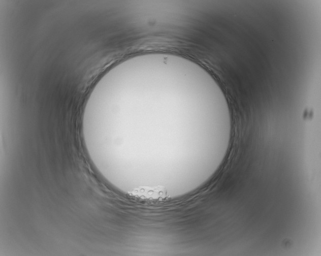 X0000113110309200908281024