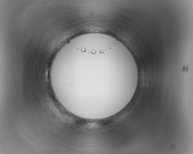 X0000113110310200908281024