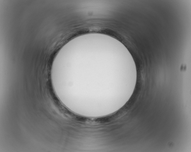 X0000113110311200908281024