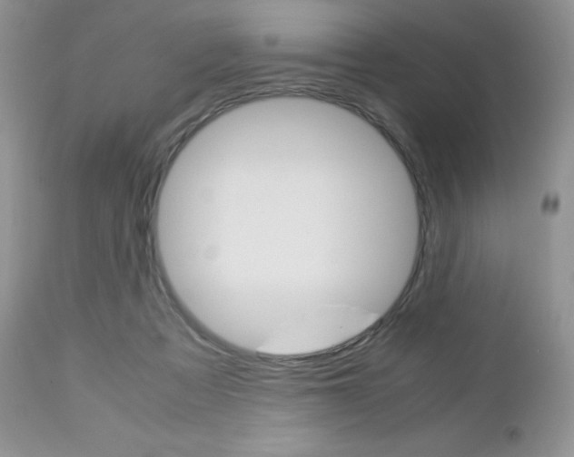 X0000113110313200908281024