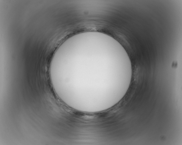 X0000113110314200908281024