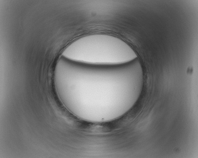 X0000113110315200908281024